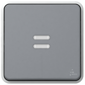 Interrupteur à bascule S3 IP55, gris, contrôle